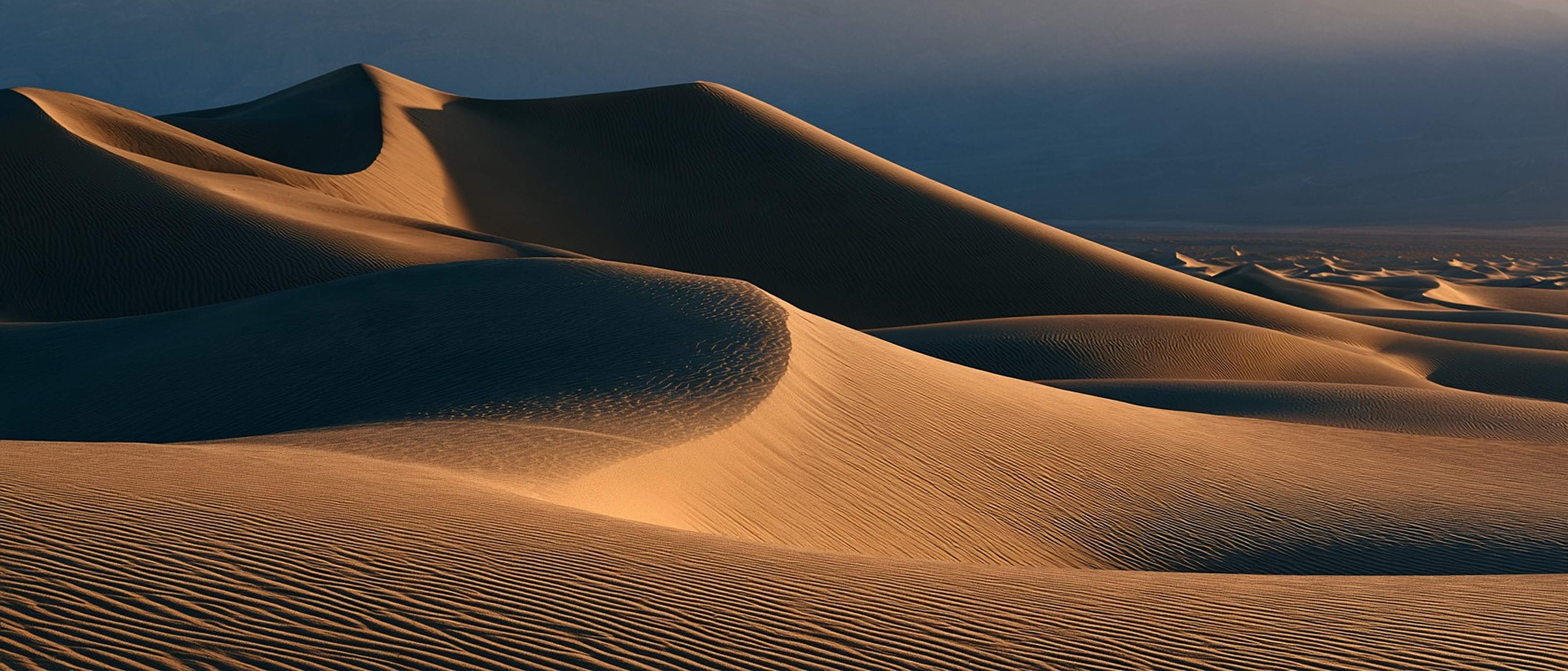 Wind-rippled desert dunes at golden hour.